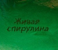 Живые водоросли: спирулина и хлорелла