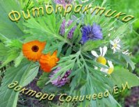 Натуральная лечебно-профилактическая косметика