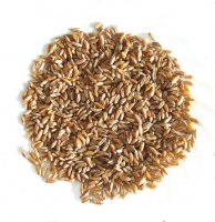 Пшеница хорасан (камут) 250 гр